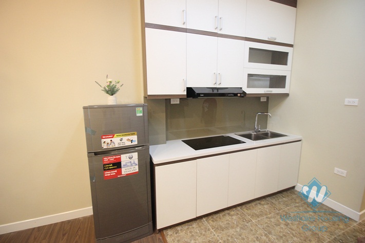 Brand new two bedrooms apartment for rent in Dang Thai Mai, Tay Ho, Ha Noi